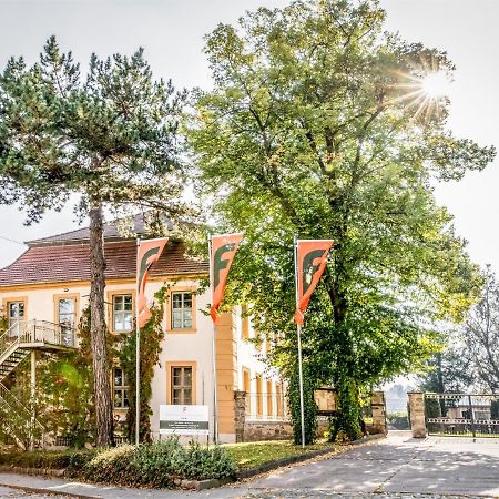 Stadtschloss Hecklingen*** Hecklingen  Exterior photo